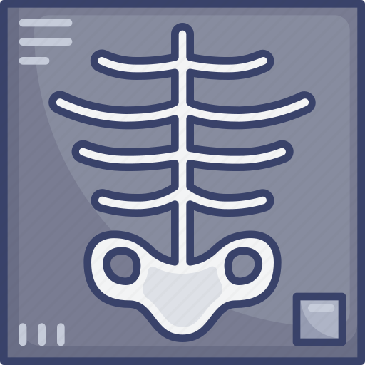 Health, healthcare, medical, ray, scan, skeleton, x icon - Download on Iconfinder