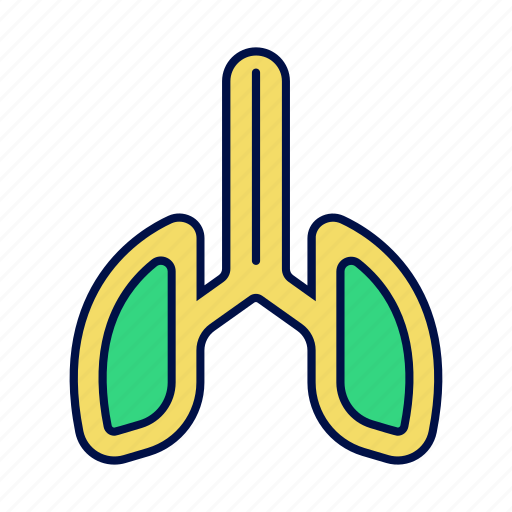 Body, human, lung, organ icon - Download on Iconfinder