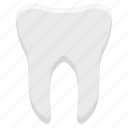 tooth, care, dental, dentist, dentistry, stomatology, teeth