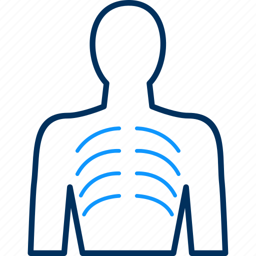 Body, care, doctor, health, hospital, lungs, medical icon - Download on Iconfinder