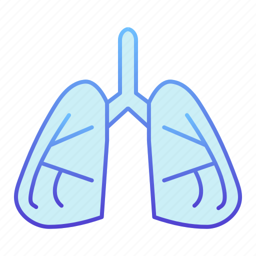 Respiratory, health, human, medical, anatomy, biology, body icon - Download on Iconfinder