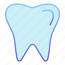 tooth, dent, enamel, care, clean, dental, dentist, dentistry, health