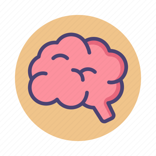 Brain, brainy, mind, organ icon - Download on Iconfinder