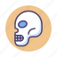 head, skeleton, skull 