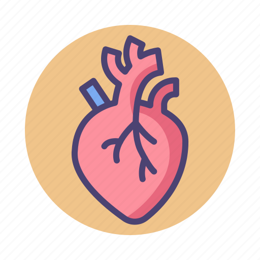 Cardiac, cardiovascular, heart, organ icon - Download on Iconfinder
