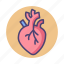 cardiac, cardiovascular, heart, organ 
