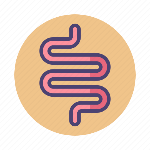 Intestines, large intestines, organ, small intestines icon - Download on Iconfinder