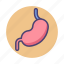 organ, stomach 
