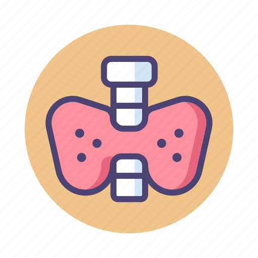 Neck, organ, thyroid icon - Download on Iconfinder