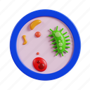 bacteria, bacterium, microbiology, medicine, biology, medical, virus, health, infection 