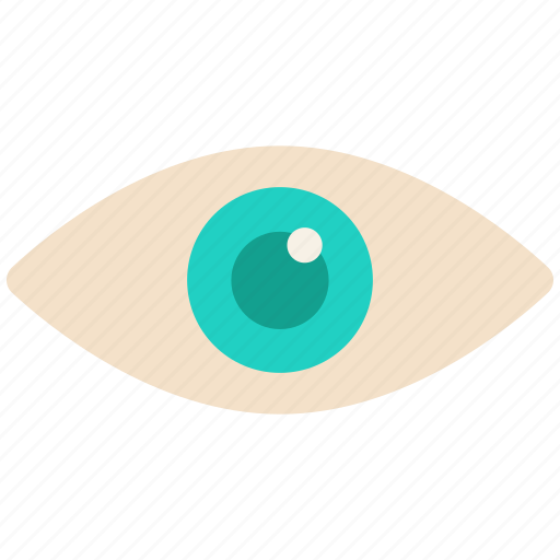 Eye, eyes, watch icon icon - Download on Iconfinder