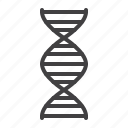 genetics, dna, medical, structure