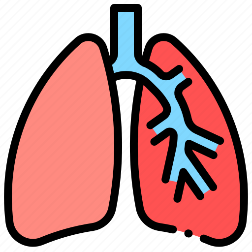 Anatomy, breath, lungs, pulmonology icon - Download on Iconfinder