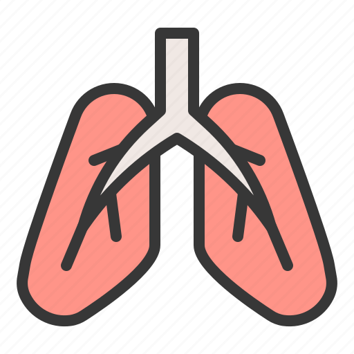 Anatomy, hospital, medical, organ, healthcare, internal organ, lung icon - Download on Iconfinder
