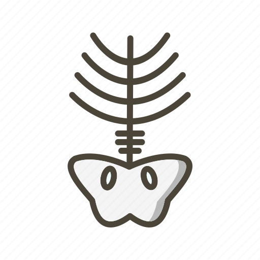 Bone, skull, xray icon - Download on Iconfinder