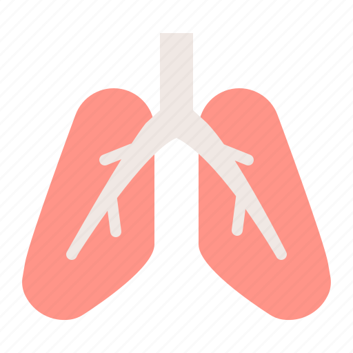 Anatomy, hospital, internal organ, lung, medical, organ icon - Download on Iconfinder