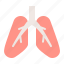 anatomy, hospital, internal organ, lung, medical, organ 