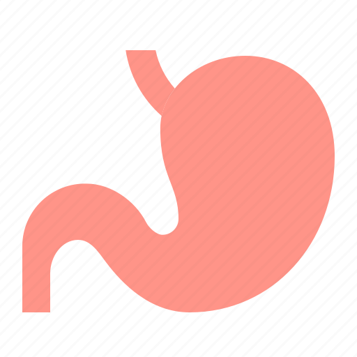 Anatomy, gastric, hospital, internal organ, medical, stomach icon - Download on Iconfinder