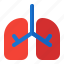 health, lungs, medical 