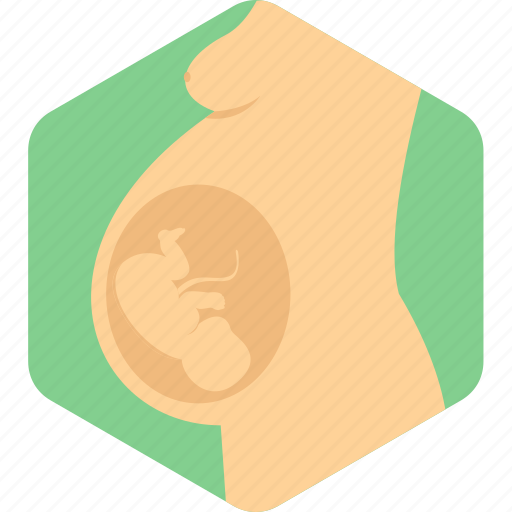 Obstetrics, embryo, fetus, pregnant, prenatal, ultrasonography, ultrasound icon - Download on Iconfinder