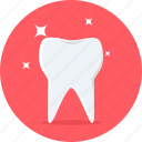 shine, strong, tooth, dental, stomatology, teeth, dentistry