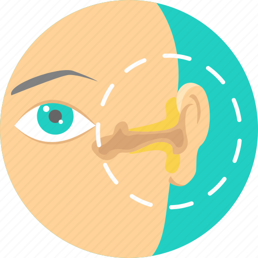 Ear, eardrum, infection, medical, problem, treatment, deaf icon - Download on Iconfinder