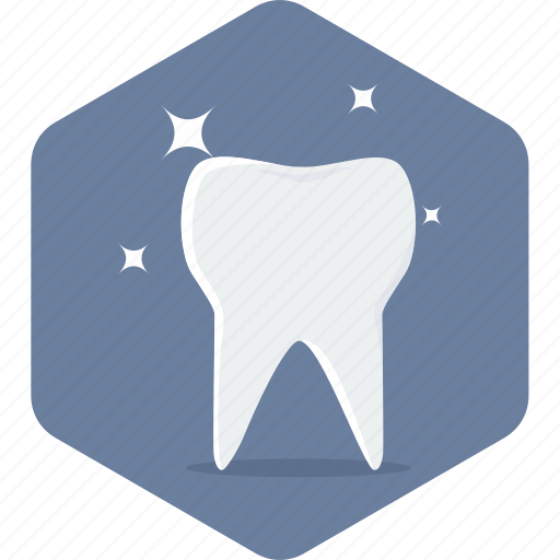 Tooth, dental, dentistry, hygiene, stomatology, teeth icon - Download on Iconfinder