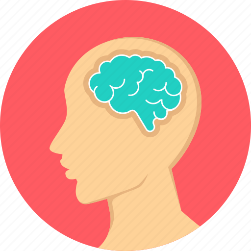 Brain, surgery, fits, head, nervous system, neuro icon - Download on Iconfinder