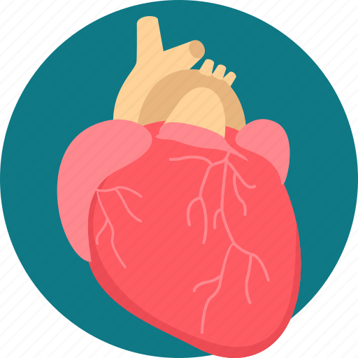 Heart, surgery, healthcare, treatment, heart care, heart attack icon - Download on Iconfinder