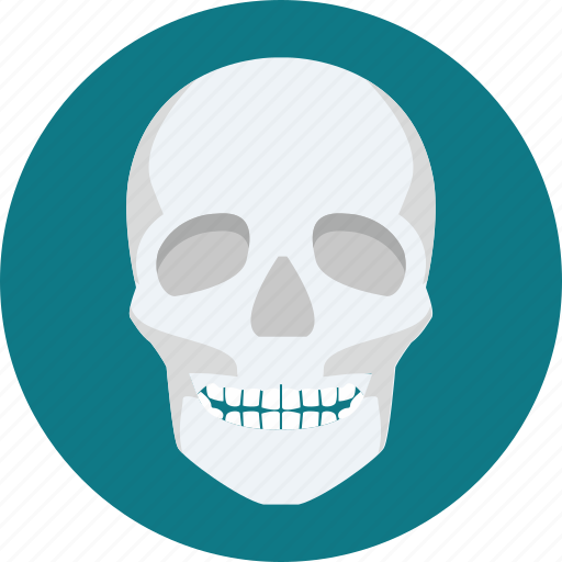 Bones, skeleton, skull, facebone, bone, scalp, ray icon - Download on Iconfinder