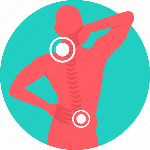 Back bone, backbone, backpain, neck pain, pain, nervous system, cervical icon - Download on Iconfinder