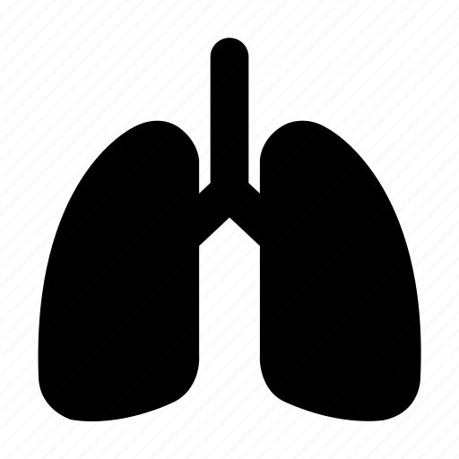 Lung, respiratory, anatomy, organ, chest, hospital, oxygen icon - Download on Iconfinder