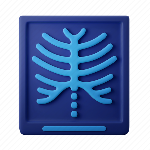 Xray, rontgen, lab, bone, skeleton 3D illustration - Download on Iconfinder