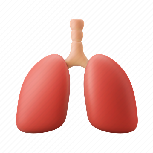 Lung, organ, anatomy, human, medical 3D illustration - Download on Iconfinder