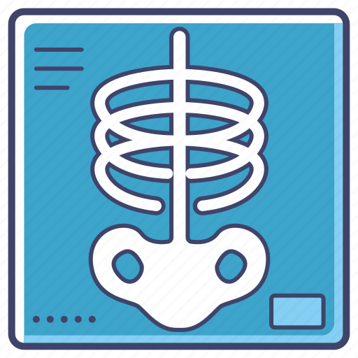 Xray, x-ray, radiology, radiation, bone, hospital, skeleton icon - Download on Iconfinder