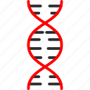 dna, dna chain, dna helix, dna strand, genetics