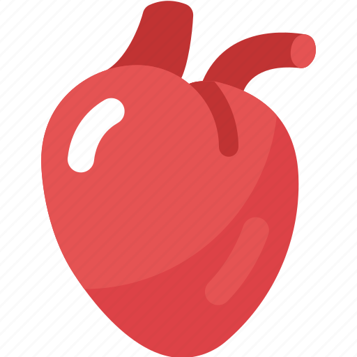 Heart, medical, doctor, organ, transplant, hospital, body parts icon - Download on Iconfinder