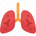 lungs, healthcare and medical, pulmonary, anatomy, respiratory system, body organ, breath, lung