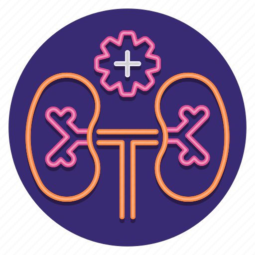 Anatomy, human, kidneys, organs icon - Download on Iconfinder