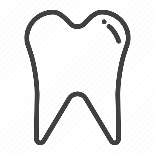 Dental, human, medical, tooth icon - Download on Iconfinder