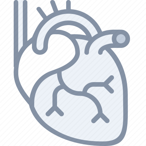 Body, health, heart, hospital, medical, organ icon - Download on Iconfinder
