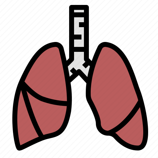 Asthma, body, human, lung, organ, respiration icon - Download on Iconfinder