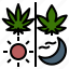 cannabis, day, hemp, indica, night, sativa, weed 