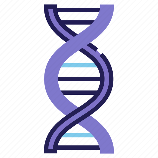 Biology, chromosome, dna, genetic, molecule, research, spiral icon - Download on Iconfinder