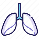 anatomy, cancer, lung, lungs, medical, organ, respiratory