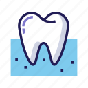dent, dental, dentist, medical, mouth, teeth, tooth
