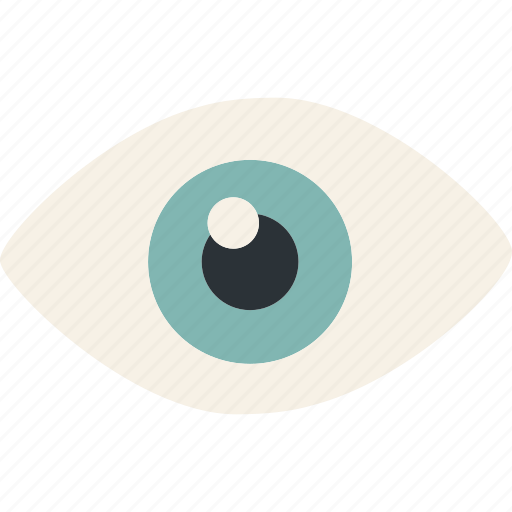 Eye, look, vision, visibility, visible, view icon - Download on Iconfinder