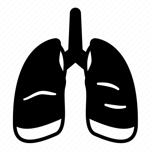 Lungs, body, healh, medical, breath, organ, anatomy icon - Download on Iconfinder