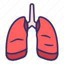 lungs, body, healh, medical, breath, organ, anatomy