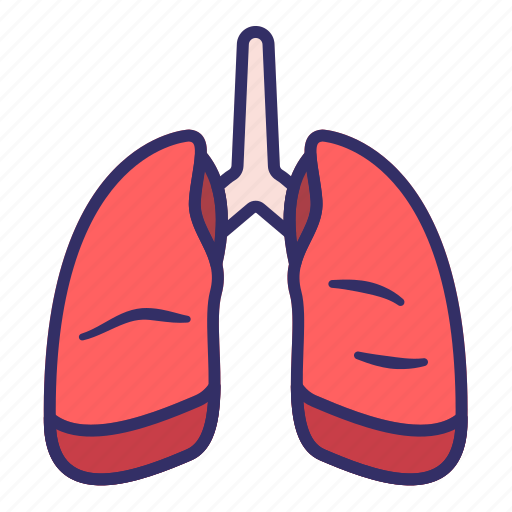 Lungs, body, healh, medical, breath, organ, anatomy icon - Download on Iconfinder